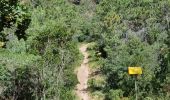 Trail Walking Roquebrune-sur-Argens - z le Blavet 18-06-24 - Photo 2