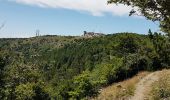 Tour Wandern Val-d'Aigoual - Mont Aigoual - Cabrillac - Photo 19