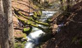 Trail Walking Entremont-le-Vieux - Circuit au départ d’entremont le vieux - Photo 3