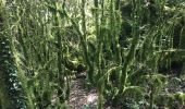 Excursión Senderismo Les Plans - Forêt domaniale d'Escandorgue par Roqueredonde et l'Engayresque - Photo 2