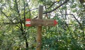 Trail On foot Bovezzo - Sentiero dei marroni - Photo 2