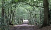 Trail On foot Broxbourne - Broxbourne Woods NNR Trail - Photo 6