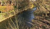 Trail Walking Walcourt - Randonnée autour de Walcourt - Photo 10