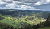 Trail Walking Stavelot - Stavelot et les crêtes de l’Amblève - Photo 18