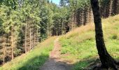 Tour Zu Fuß Unbekannt - Wanderweg Kettwig A3 - Photo 3