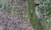 Trail Walking Largentière - 07 largentiere joannas taurier - Photo 5