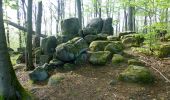 Randonnée A pied Fischbachtal - Rundwanderweg Fischbachtal 2 : Geographisch-Historischer-Lehrpfad - Photo 10