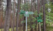 Tocht Te voet Unterwellenborn - Wanderweg Rudolstadt - Kulm - Photo 8