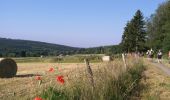 Tocht Stappen Sainte-Ode - mesa 3 Amberloup - Photo 3