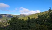 Tour Wandern Teyssières - le cougoir retour par les crêtes de Sauveginoux - Photo 2