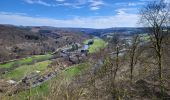 Tour Wandern Bertrix - Auby sur Semois 140324 - Photo 10