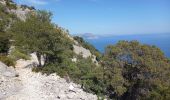 Trail Walking Baunei - Cala Sisine à Cala di Luna 2.10.23 - Photo 8
