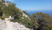 Tour Wandern Baunei - Cala Sisine à Cala di Luna 2.10.23 - Photo 8