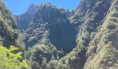 Tocht Stappen São Roque do Faial - Le chaudron vert  - Photo 6