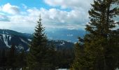 Randonnée A pied Gemeinde Spital am Semmering - Wanderweg 5 - Photo 4