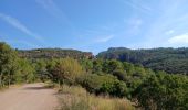 Percorso Marcia Roquebrune-sur-Argens - Entre La Bouverie et La Lieutenante - Photo 1