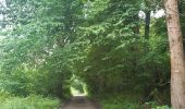 Trail Walking Pepinster - les 3 bois / cornesse  .  gofontaine  .  pepinster  .  cornesse  - Photo 12