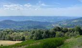 Tour Wandern Saint-Anthème - Hautes chaumes jacquerie le coq noir  - Photo 1