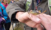 Tour Wandern Auribeau - Auribeau. Mourre-Nègre - Photo 13