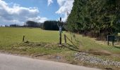Tour Wandern Libramont-Chevigny - Bras bas 190321 - Photo 4