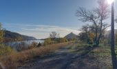 Tocht Stappen Châteauneuf-du-Rhône - Châteauneuf : Les Iles du Rhône 9km - Photo 3