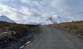 Trail Walking Unknown - Glencoe - Photo 2