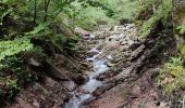 Trail Walking Gemeinde Scheffau am Wilden Kaiser - Hintersteinersee - Photo 2