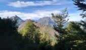 Trail Walking Arras-en-Lavedan - Sur la hauteur de Sireix - Photo 1