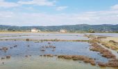 Excursión Bicicleta Piran / Pirano - Wikiloc - Secovle salina - Photo 16