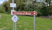 Tour Wandern Châtelet - CHATELET _ Marche Fédérale _ HT _ 30/04/2022 - Photo 2