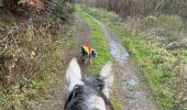 Trail Horseback riding Neufchâteau - Bois de la Fosse - Photo 12