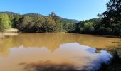 Tour Wandern Puget-sur-Argens - lieutenante Beaumeruine - Photo 4