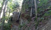 Trail Walking Wegscheid - Circuit des Rochers - Photo 5