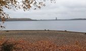 Tour Zu Fuß Froidchapelle - Balade au Lac de l'Eau d'Heure - Photo 3