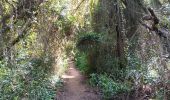 Tour Wandern Saint-Bonnet-du-Gard - mon 8 du pont du Gard  - Photo 3