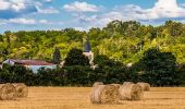 Trail Walking Vinzelles - Vinzelles_Ronde_Fours - Photo 1