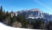 Tour Wandern Saint-Christophe-sur-Guiers - La Ruchere - Col de l'Allienard - Photo 11