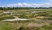 Trail Walking Merville-Franceville-Plage - HONFLEUR 06 - OUISTREHAM : Les Dunes - La Redoute (Normandie) - Photo 4