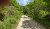 Trail Walking Valdoule - vers le Dindaret depuis Pra Boyer - Photo 2