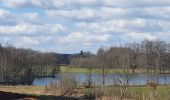 Tour Wandern Libramont-Chevigny - rando bras-bas 19/03/2021 - Photo 9