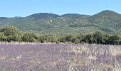 Trail Walking Buoux - Plateau des Claparèdes - Photo 2