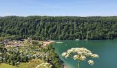 Tocht Stappen Doucier - Doucier, tour du lac par Belvédères  - Photo 14