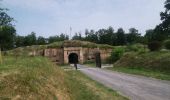 Trail Walking Chaumousey - bouzey  - Photo 5