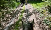 Trail Horseback riding Bastogne - Luxembourg  - Photo 9