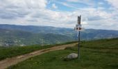 Trail Walking Sondernach - mp sondernach 2019 - Photo 1