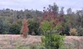 Trail Walking Esneux - mon E d'Esneux - Photo 20