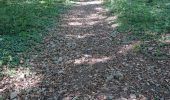 Trail Walking Viroinval - Quinwa 20200907 - Photo 5