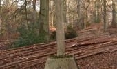 Tour Wandern Verviers - 20201129 - Maison Bois 5.1 Km - Photo 8