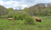 Percorso Marcia Malmedy - Malmedy - Baugnez - Photo 1