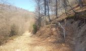 Excursión Senderismo Niederbronn-les-Bains - Grand Wintersberg & plan d'eau Wolfartshoffen - Photo 3